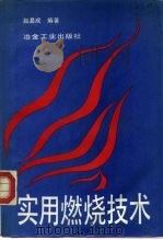 实用燃烧技术（1992 PDF版）