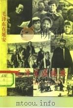 毛泽东在延安 关于确立毛泽东领导地位的组织人事、理论宣传和外交统战活动实录 1993 PDF电子版封面 7810272292 张希贤等编著