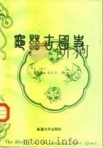 龟兹古国史（1992 PDF版）