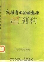 新疆考古发掘报告 1957-1958 1983 PDF电子版封面 11068·1101 黄文弼著