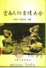 云南文物古迹大全 1992 PDF电子版封面 7222009434 邱宣充等编著
