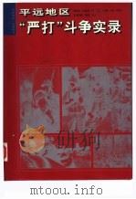 平远地区“严打”斗争实录 PDF电子版封面 徐继涛