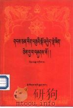 藏文文选 12 -宁玛教派史略 藏文 1989 PDF电子版封面 7105009233 措如·次朗