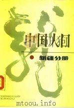 中国人口  新疆分册（1990 PDF版）