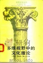 多维视野中的文化理论（1987 PDF版）