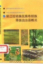 双江拉祜族佤族布朗族傣族自治县概况（1990 PDF版）