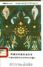 西藏的民族区域自治（1991 PDF版）