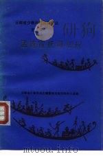 云南省少数民族古籍译丛 第9辑 孟连宣抚司法规 汉文、傣文对照 1986 PDF电子版封面 11184·64 佚名