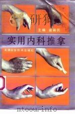 实用内科推拿 1993 PDF电子版封面 7530812513 谢新民等编著
