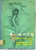 针灸穴名国际标准化361个经穴汉语拼音·英文代号对照  针灸腧穴学大专培训教材  十四经穴图解-附58（1984 PDF版）