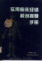 实用临床经络解剖推拿手册 1994 PDF电子版封面 7543306255 陈祖瑞主编