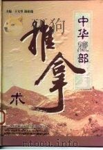 中华腹部推拿术（1997 PDF版）