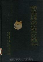 脊椎手疗法大全  图解（1998 PDF版）