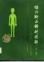 经穴断面解剖图解  头颈、胸部（1990 PDF版）