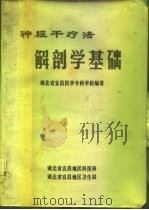 神经干疗法解剖学基础（ PDF版）