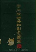实用推拿手法彩色图谱（1988 PDF版）