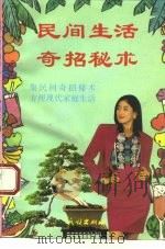 民间生活奇招秘术 1993 PDF电子版封面 7105019409 智居士编