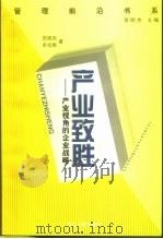 产业致胜  产业视角的企业战略（1999 PDF版）