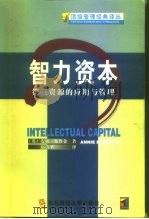 第三资源  智力资本及其管理（1998 PDF版）