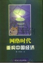 网络时代：重构中国经济（1999 PDF版）