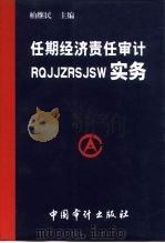 任期经济责任审计实务（1999 PDF版）