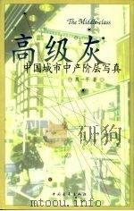 高级灰  中国城市中产阶层写真（1999 PDF版）