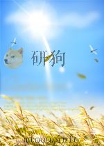 杰克·韦尔奇与通用之路——一位传奇式首席执行官的管理与透析和领导秘诀（1999年03月第1版 PDF版）