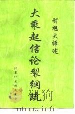 大乘起信论裂纲疏（1997 PDF版）