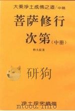 大乘净土成佛之道 中 菩萨修行次第 中 PDF电子版封面 释大寂