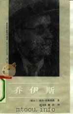 乔伊斯 1990 PDF电子版封面 750040655X (爱尔兰)科斯特洛(Costello,P.)著;何及锋,柳