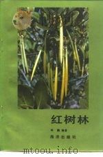 红树林（1984 PDF版）