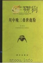川中晚三叠世孢粉（1984 PDF版）