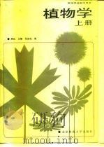植物学  形态解剖部分  上（1988 PDF版）