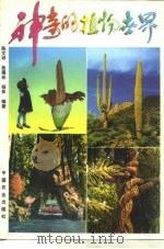 神奇的植物世界（1994 PDF版）