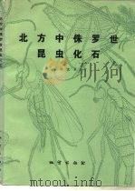 北方中侏罗世昆虫化石（1983 PDF版）