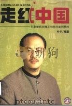 走红中国 形象策略师魏正和他的案例精粹 1999 PDF电子版封面 7205046262 叶子编著
