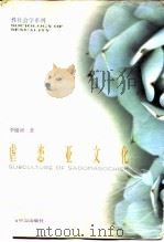 虐恋亚文化（1998 PDF版）