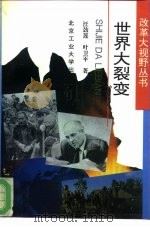 世界大裂变（1994 PDF版）