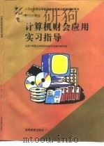 计算机财会应用实习指导（1996 PDF版）