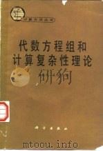 代数方程组和计算复杂性理论 1989 PDF电子版封面 7030009983 徐森林,王则柯著