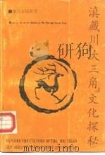 滇藏川“大三角”文化探秘 1992 PDF电子版封面 7810251848 木霁弘等著