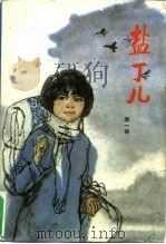 盐丁儿（1985 PDF版）