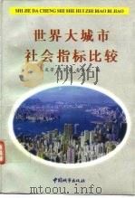 世界大城市社会指标比较（1997 PDF版）