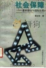 社会保障  基本理论与国际比较（1996 PDF版）