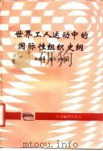 世界工人运动中的国际性组织史纲（1995 PDF版）