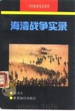 海湾战争实录（1994 PDF版）