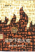 熔炉下的火焰  美国的移民、民族和种族（1994 PDF版）