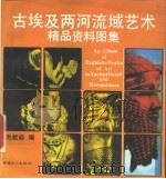 古埃及两河流域艺术精品资料图集 1992 PDF电子版封面 7500808860 毛君焱编