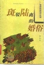 斑驳陆离的婚俗 1999 PDF电子版封面 7810561685 李大龙编著