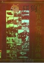 中国共产党历史大辞典 1991.05 PDF电子版封面 7800358747 盛平主编